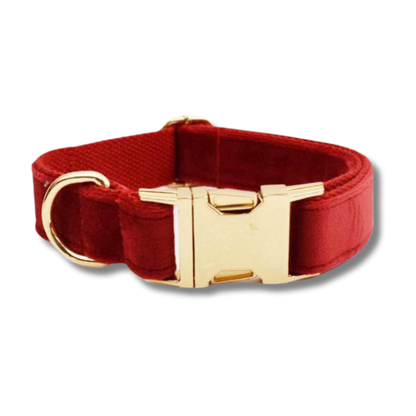 Red Velvet Collar